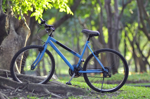 bicycle-in-green-park