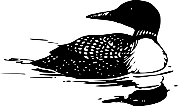 loon
