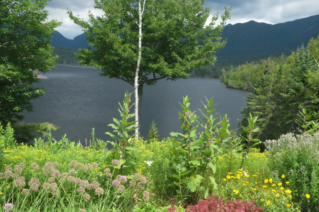 image of First Brother